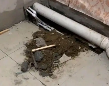 南丹卫生间漏水检测哪家好